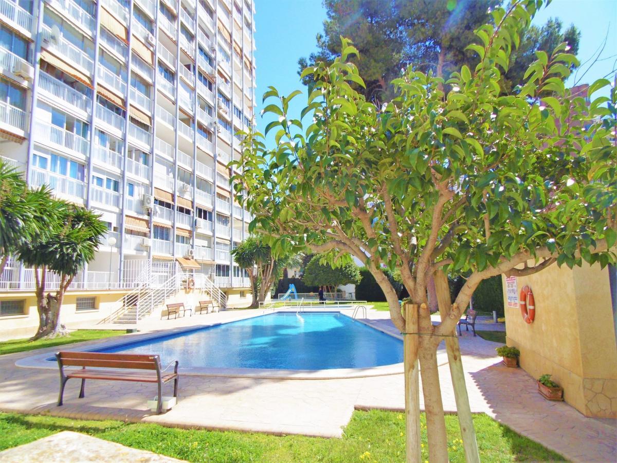 Albatros 13-1 Appartamento Benidorm Esterno foto